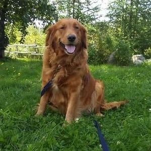 Meet your Posher, André